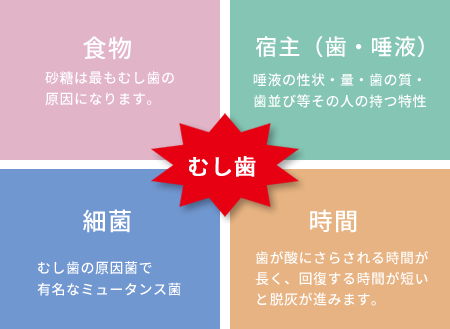 三つの輪に加えて『時間』の要素を加えたもの